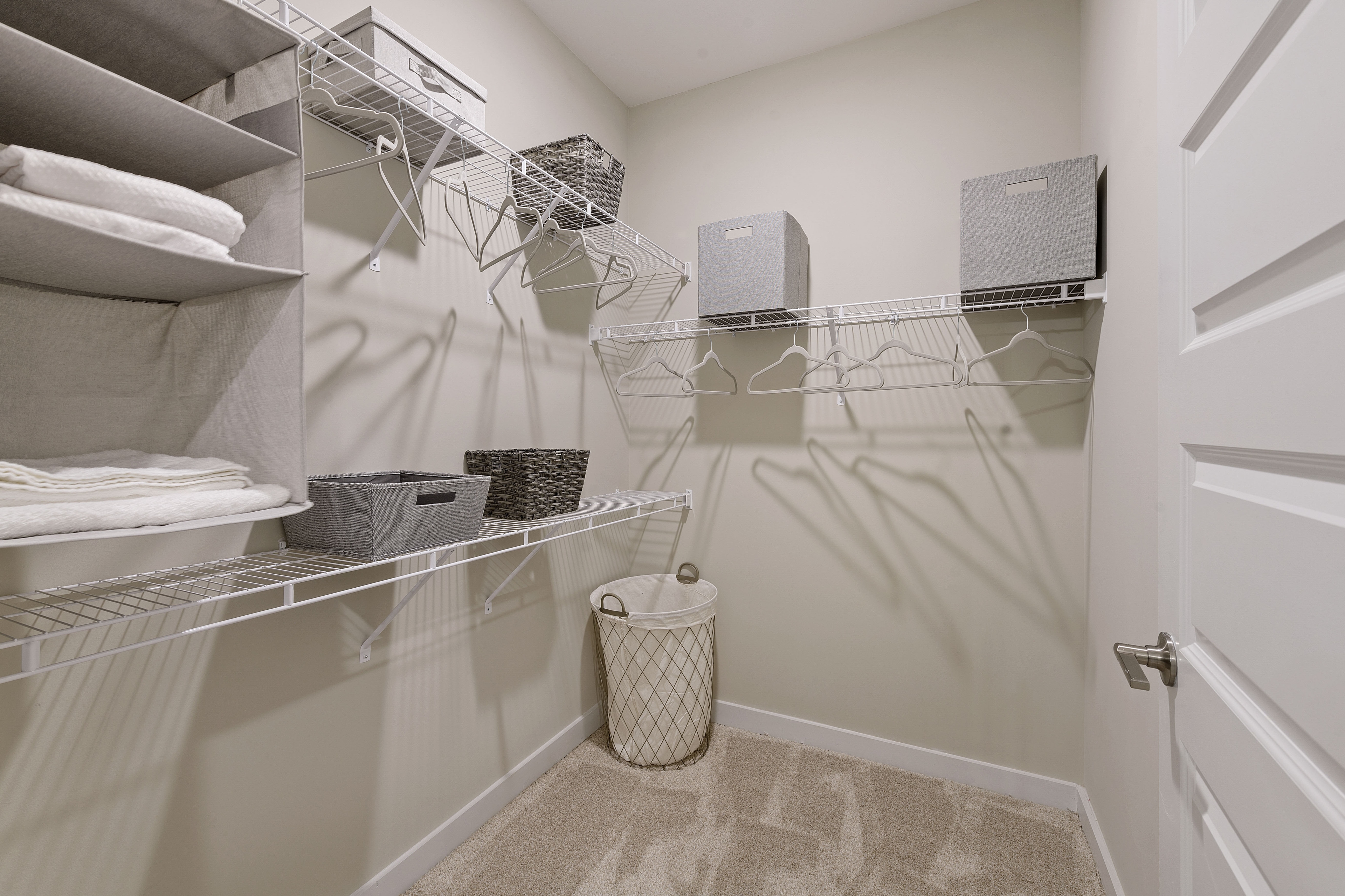 Cortland Bull City photo