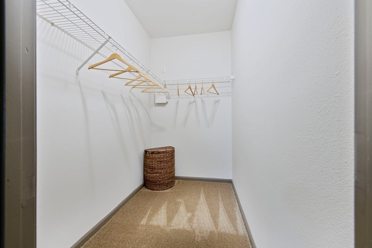 Cortland Seventy Seven photo