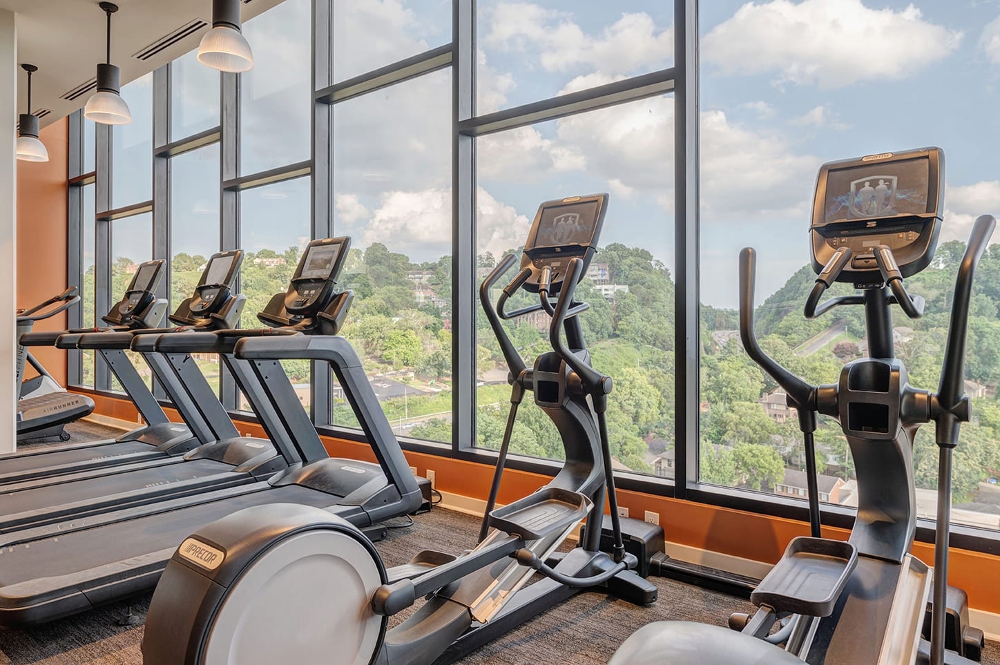 Cortland Vesta photo