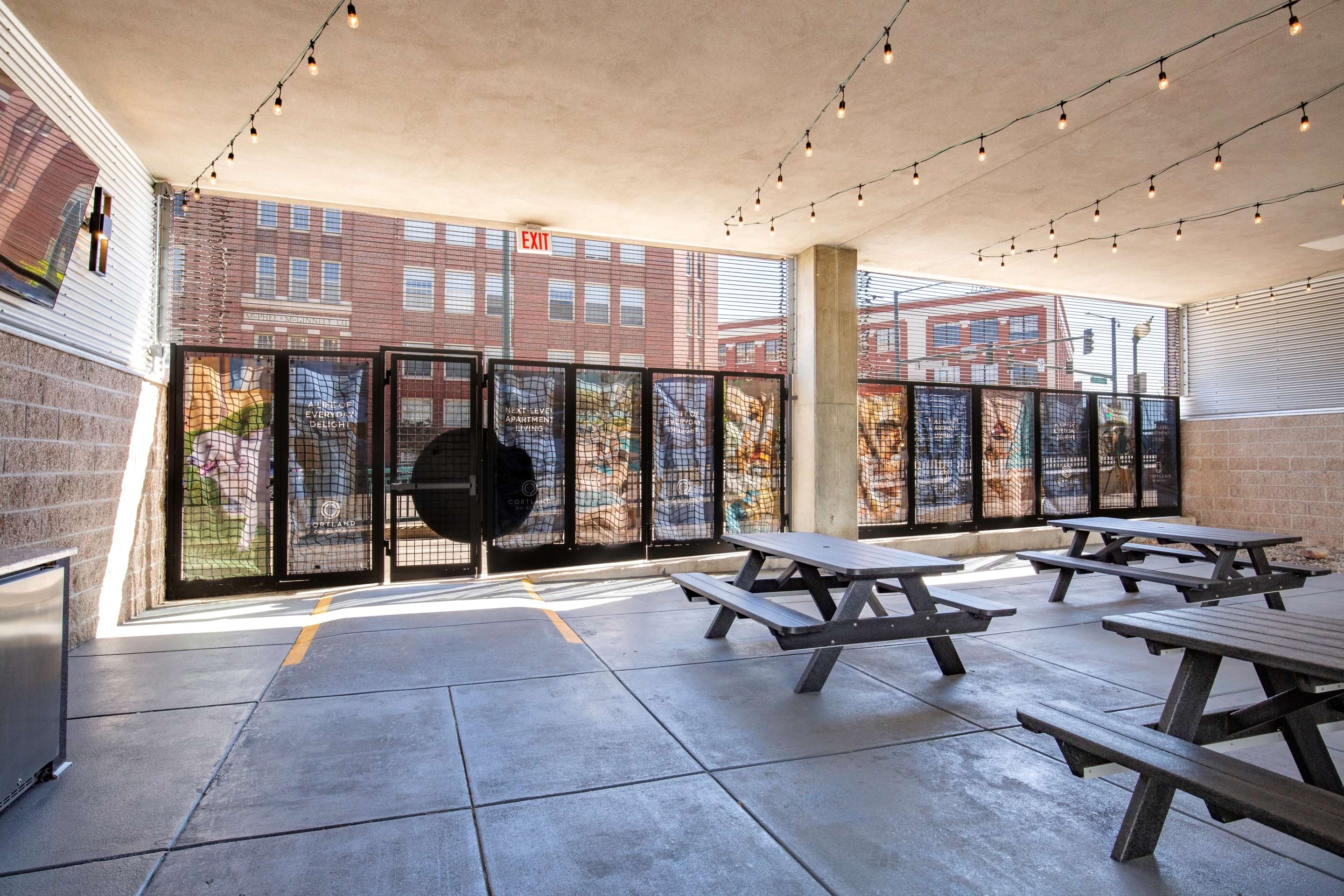 Cortland on Blake photo