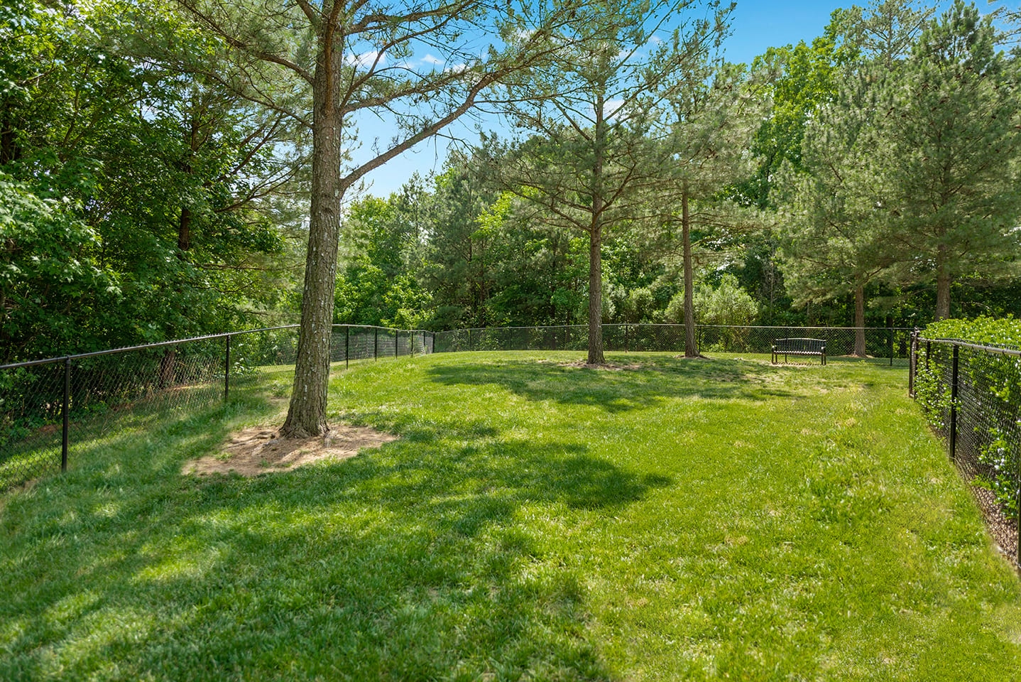 Cortland Brier Creek photo