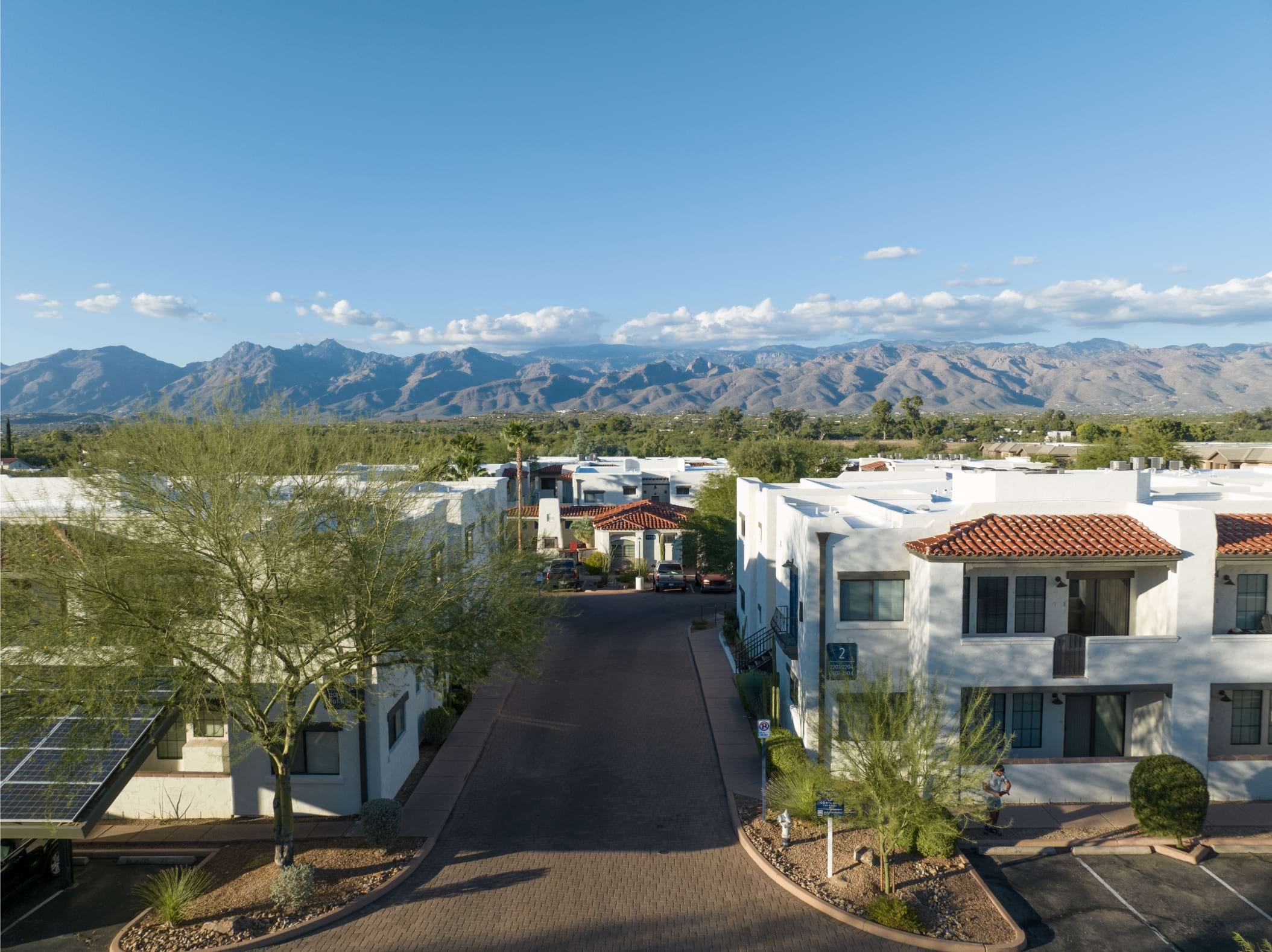 Cortland Las Casas photo