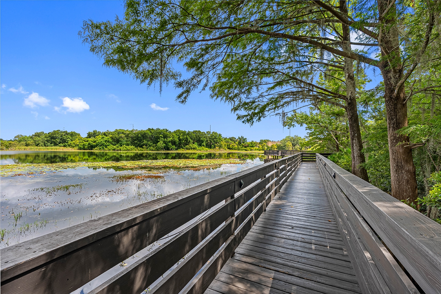 Cortland Mirror Lake photo