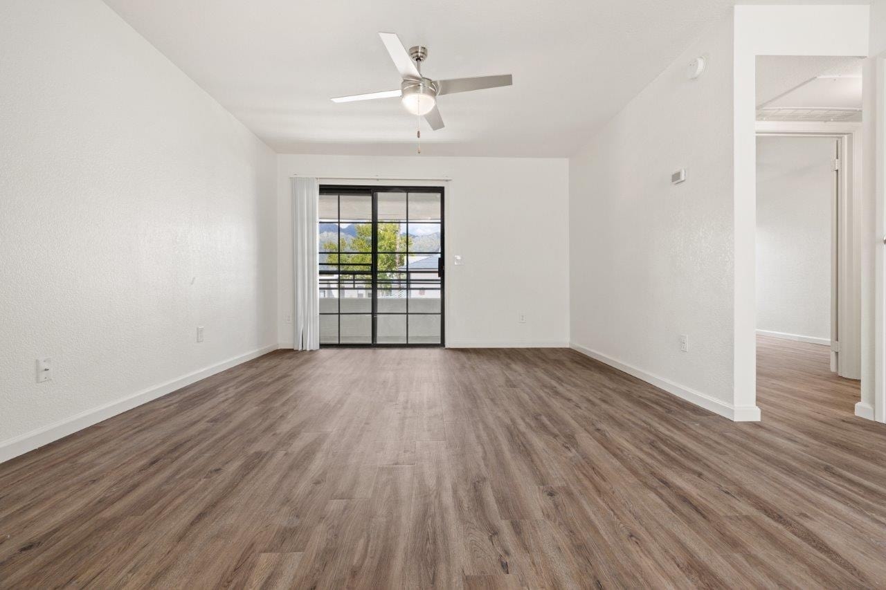 Cortland Sabino Canyon photo