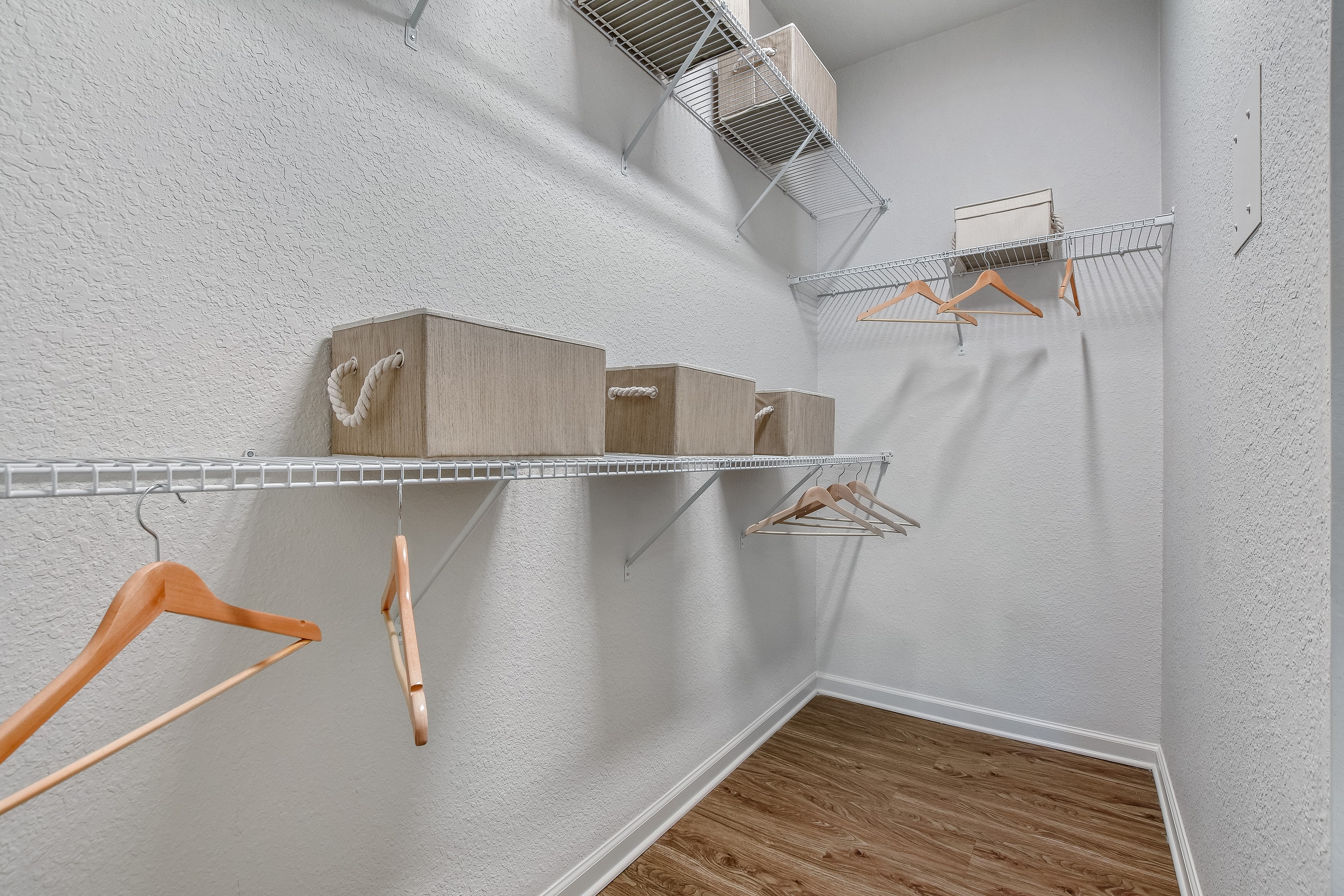 Cortland Arbor Hills photo