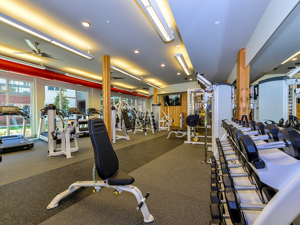 Cortland at Phipps Plaza photo