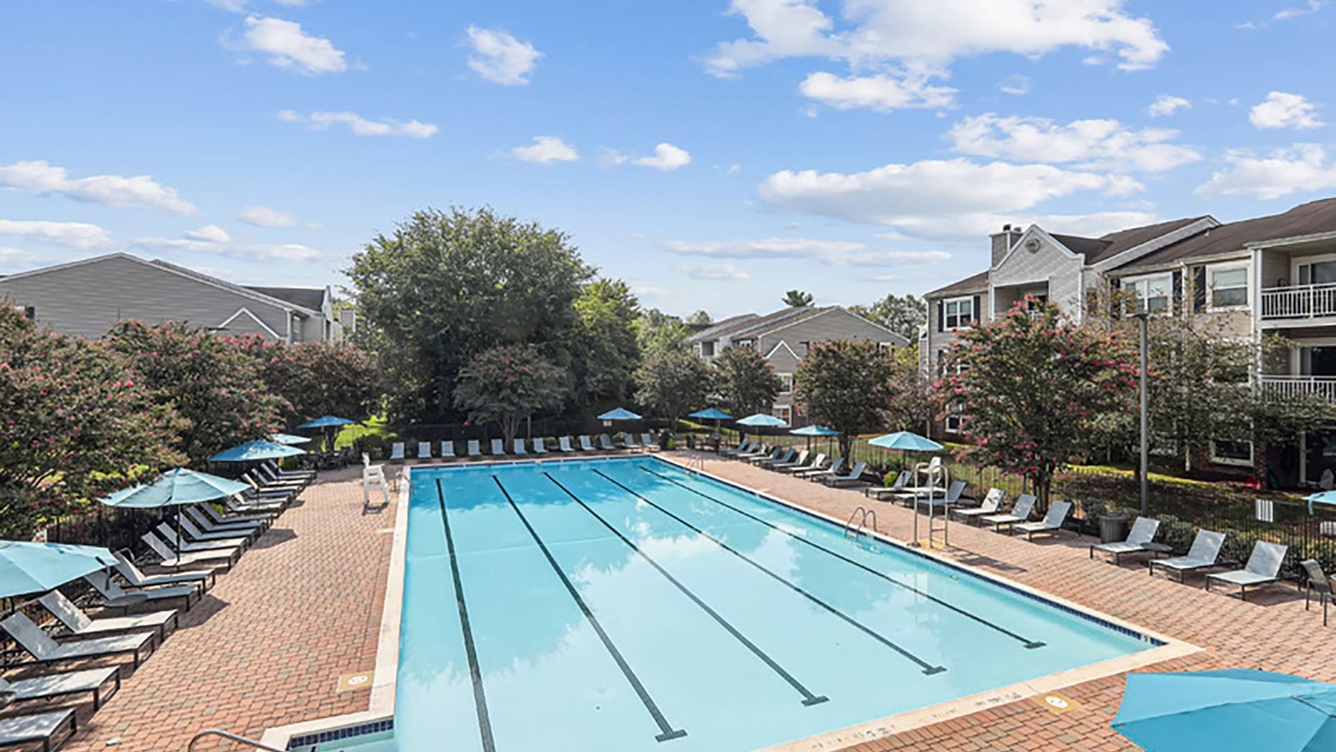 Cortland Manassas photo