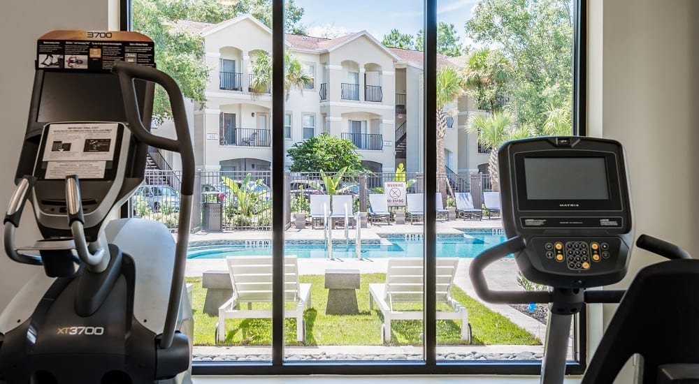 Cortland Lake Lotus photo