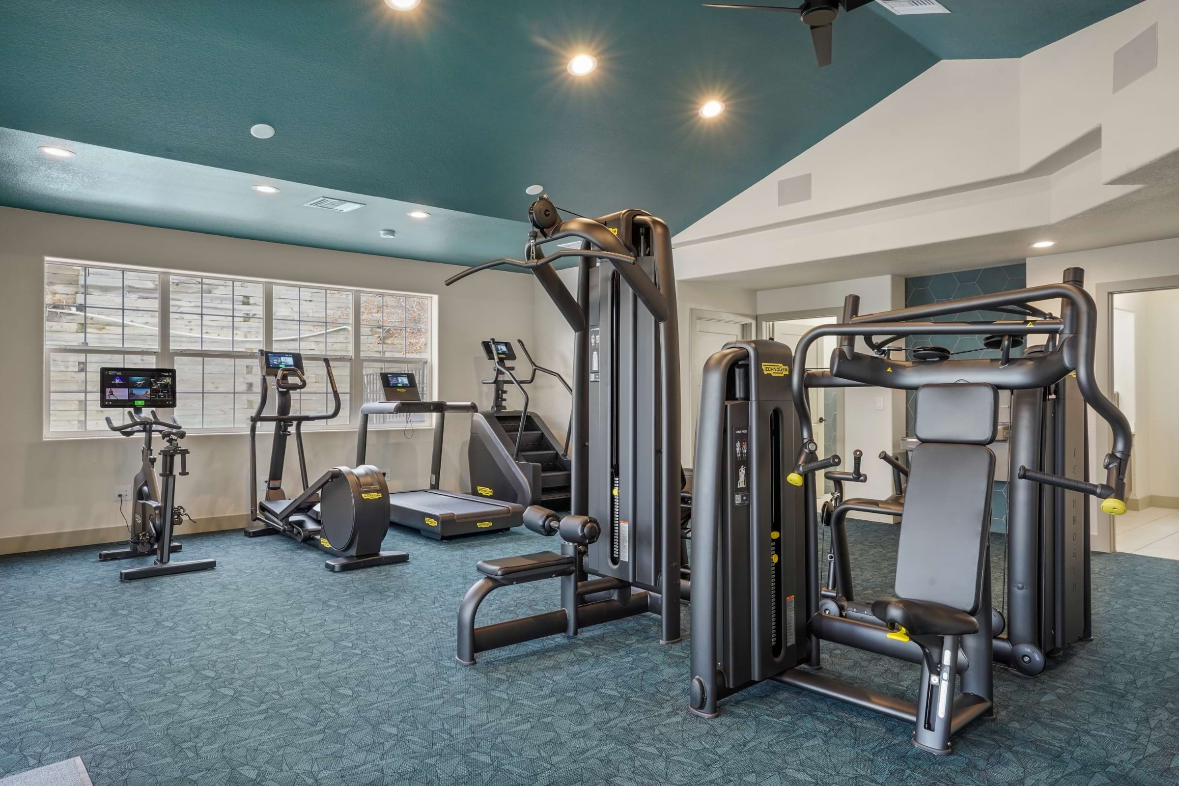 Cortland Rockrimmon photo