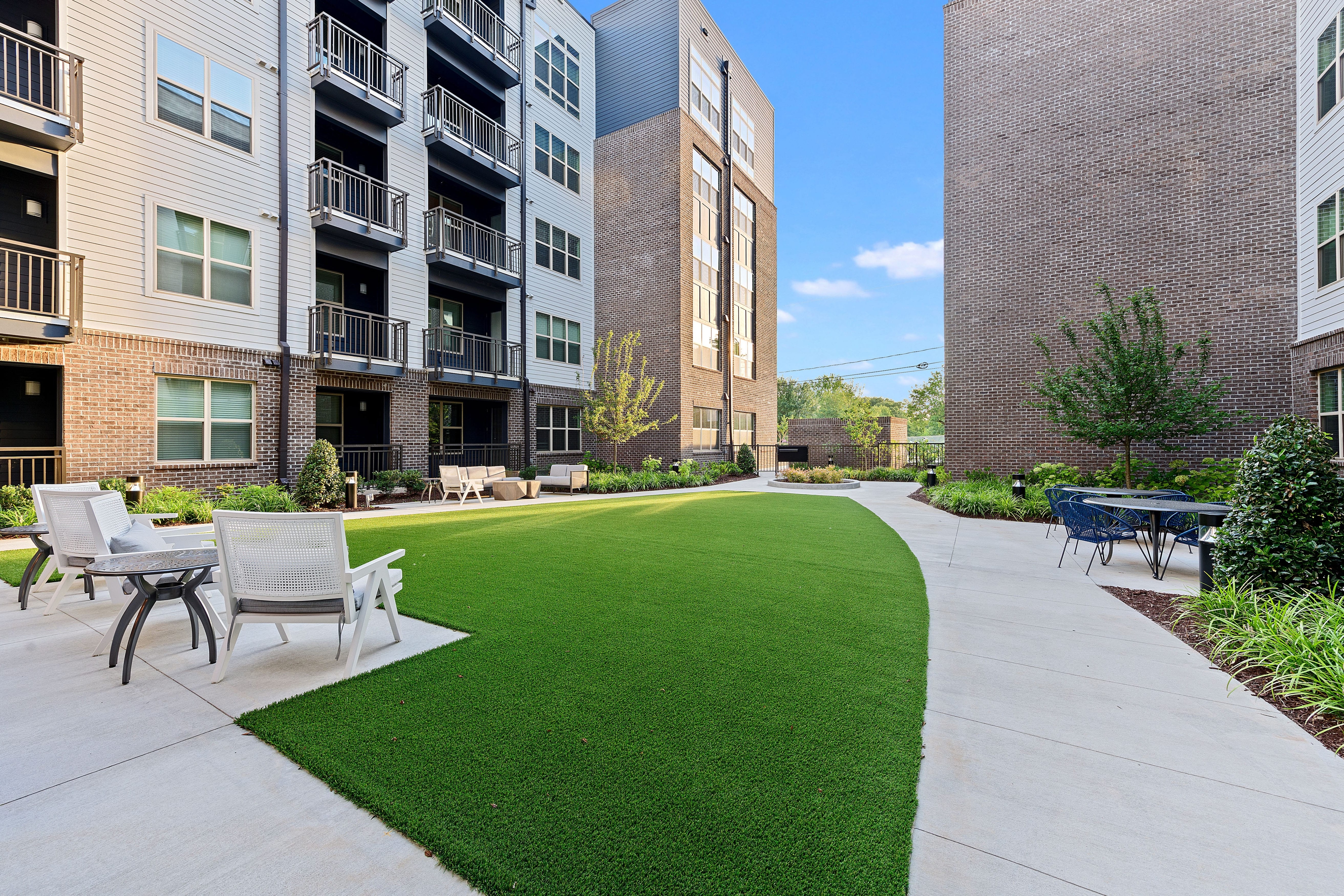 Cortland Bull City photo