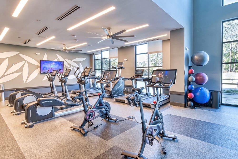 Cortland Oleander photo