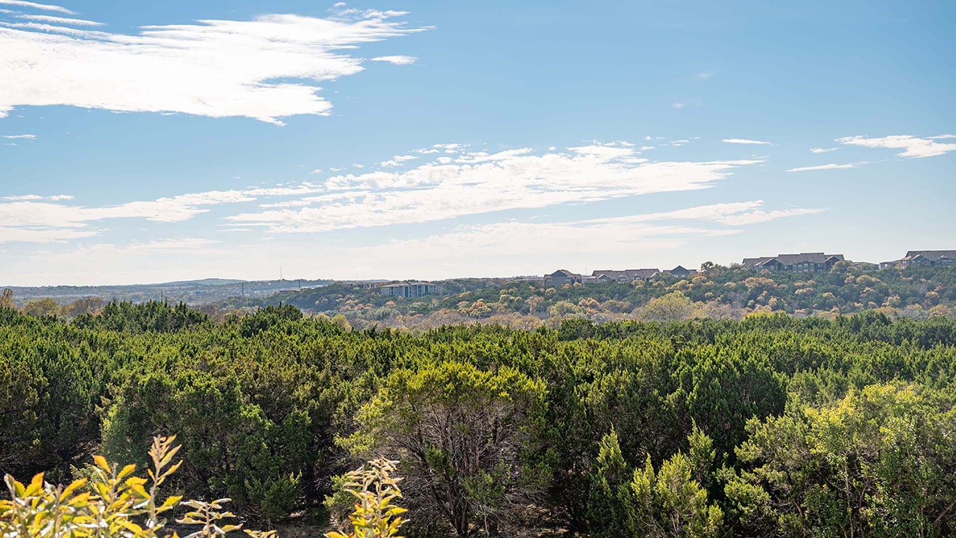 Cortland Bluff Springs photo