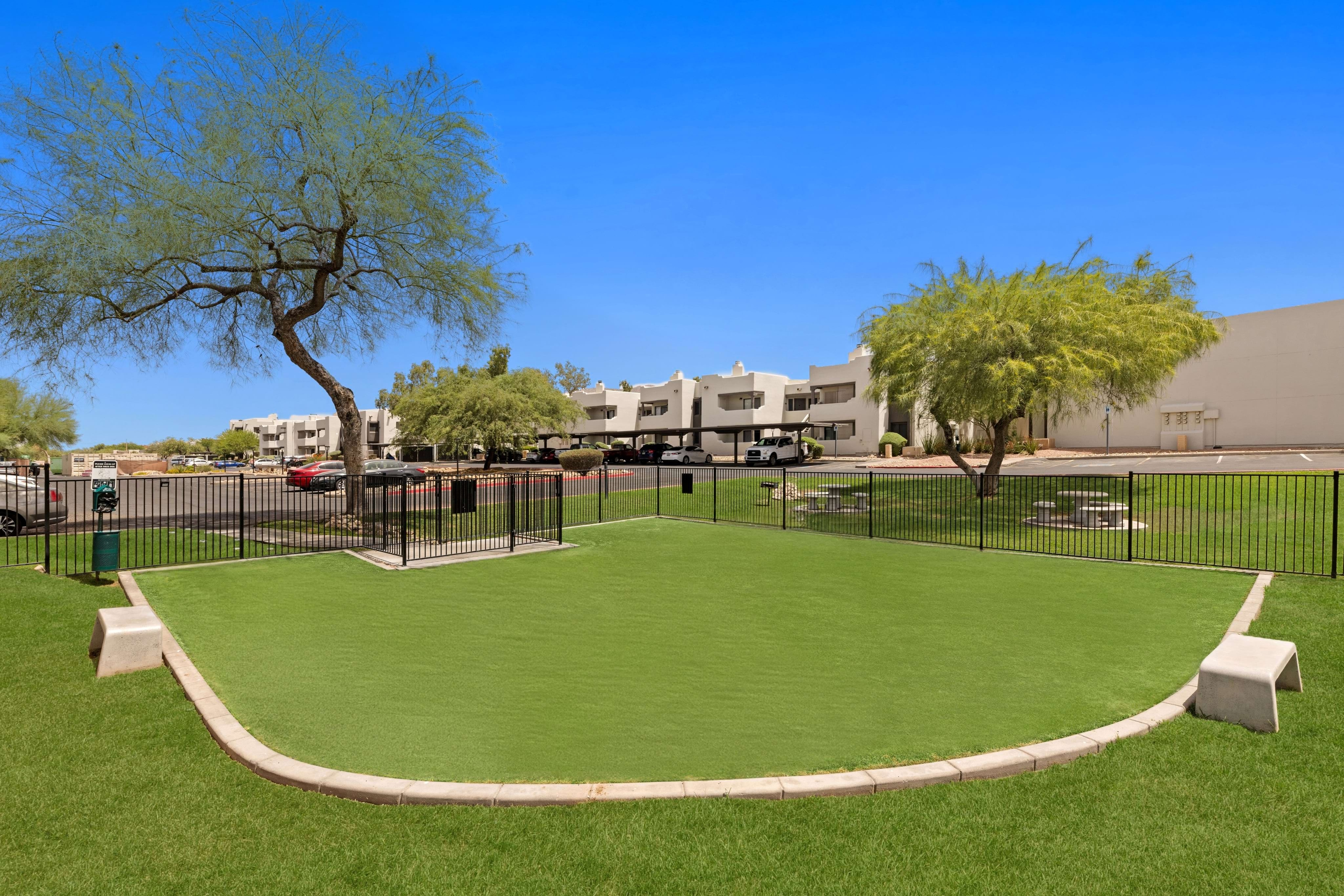 Cortland Scottsdale Mountain photo