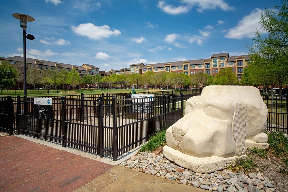 Cortland Addison Circle photo