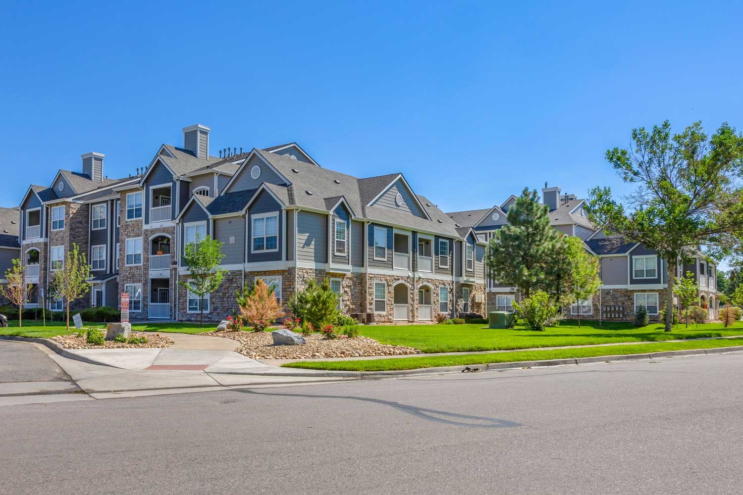 Cortland Westminster photo