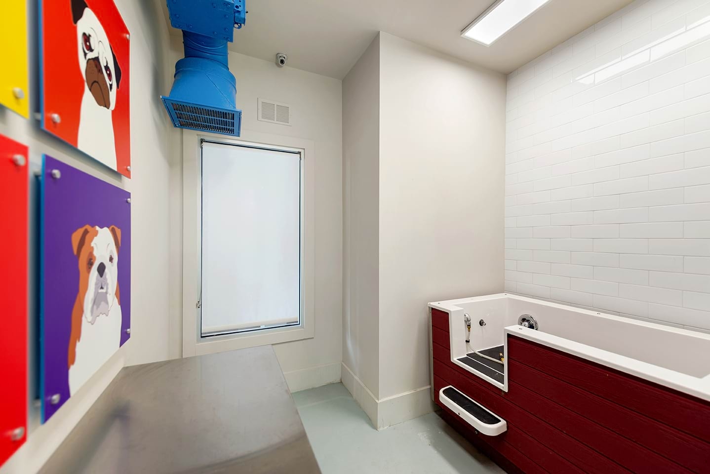 Cortland Mallard Creek photo