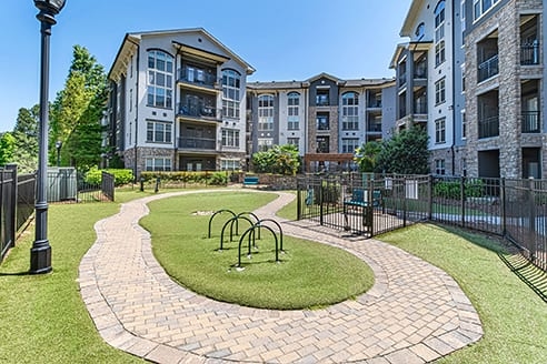 Cortland Oleander photo