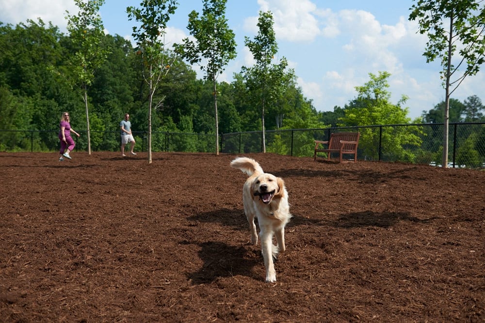 Cortland Midtown East photo
