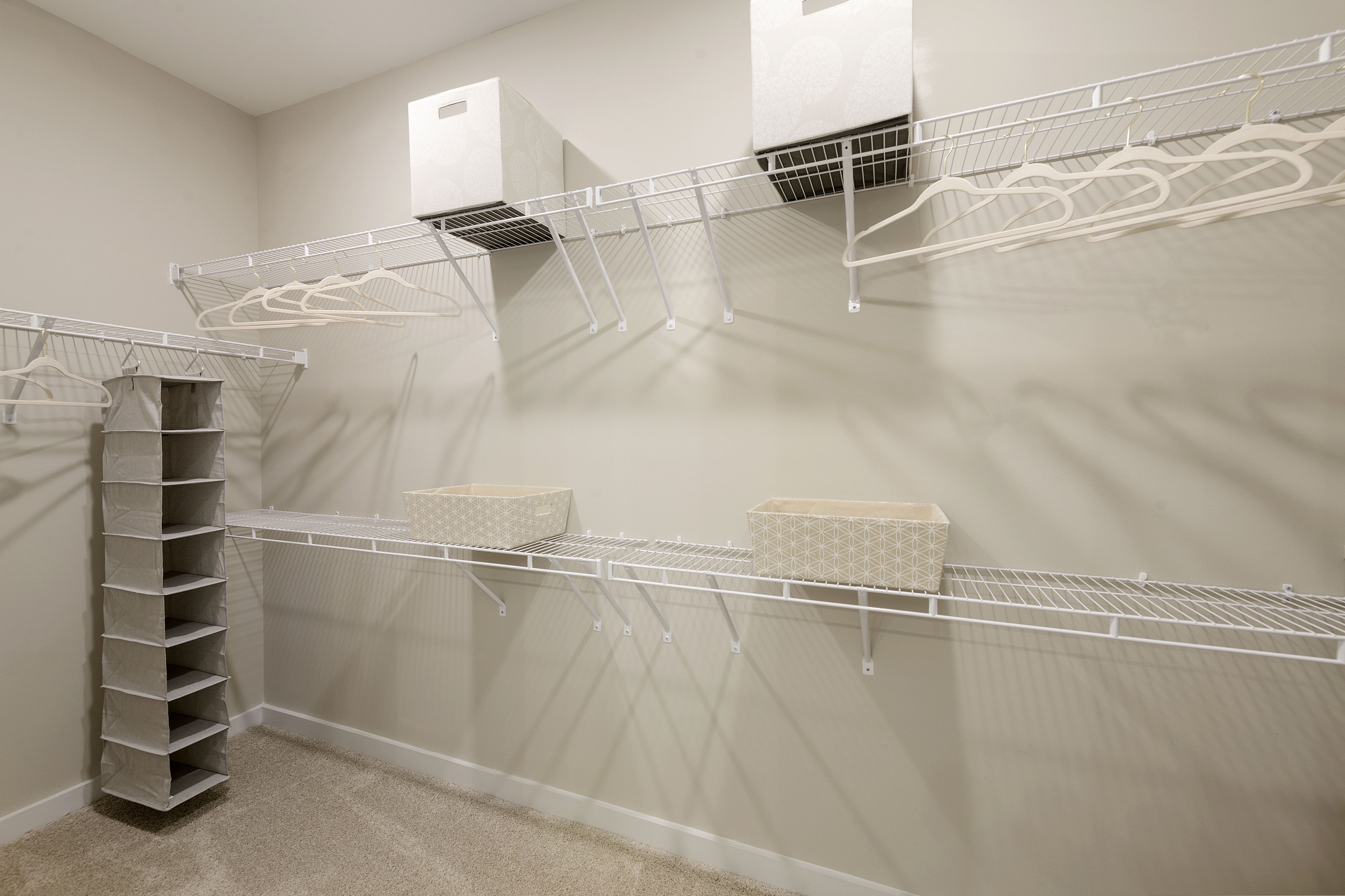 Cortland Bull City photo