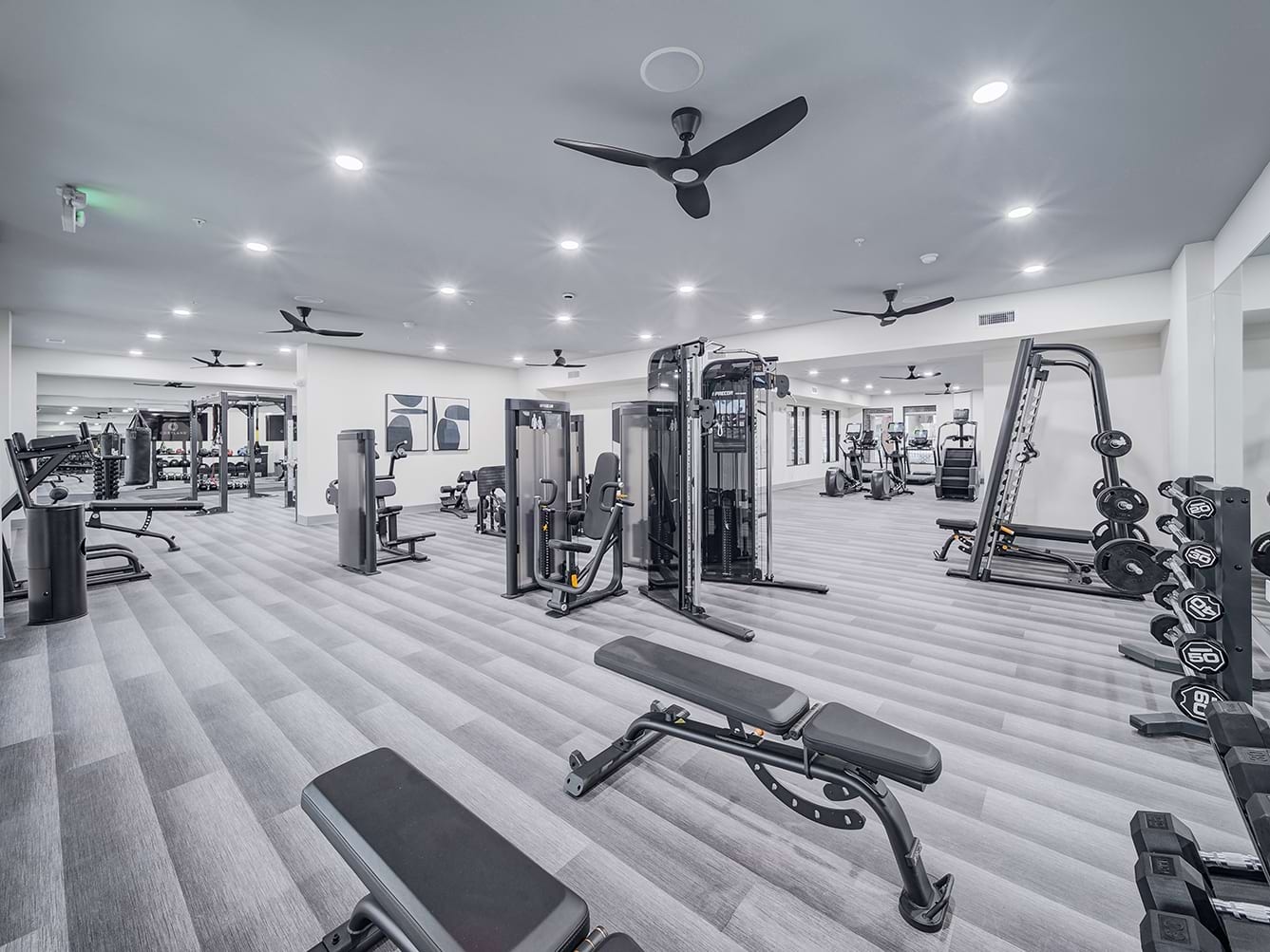 Cortland West Plano photo