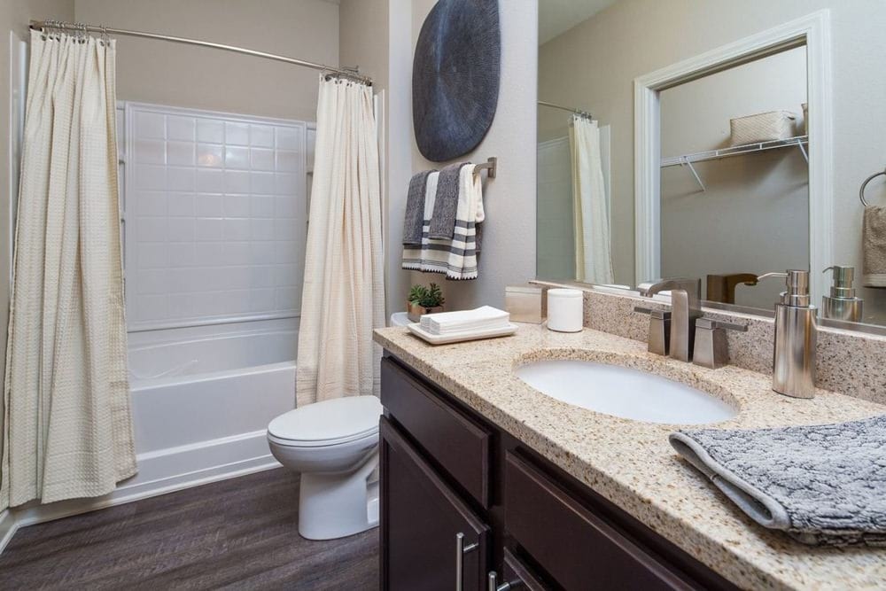 Cortland University City photo