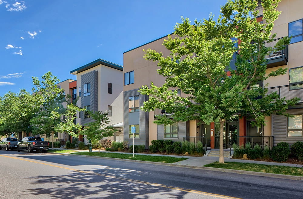 Cortland Belmar photo