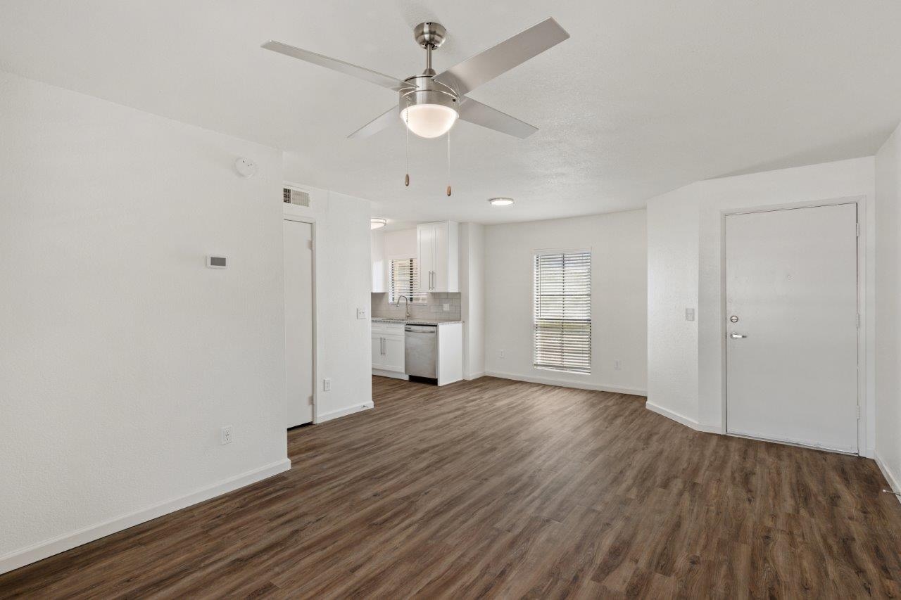 Cortland Sabino Canyon photo