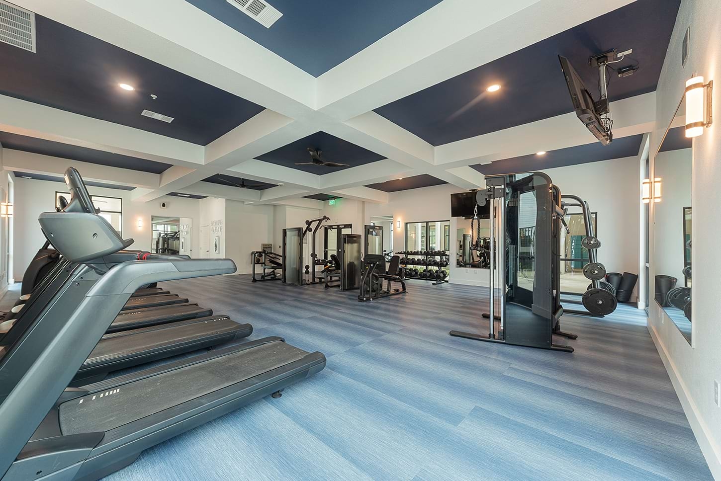 Cortland Bluff Springs photo