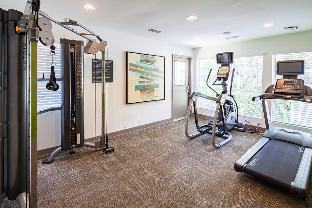 Cortland Cotswold photo