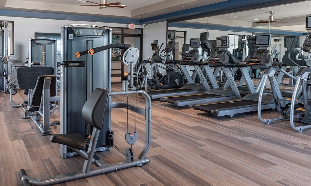 Cortland on Orange photo