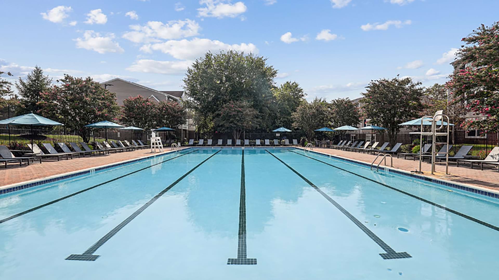 Cortland Manassas photo