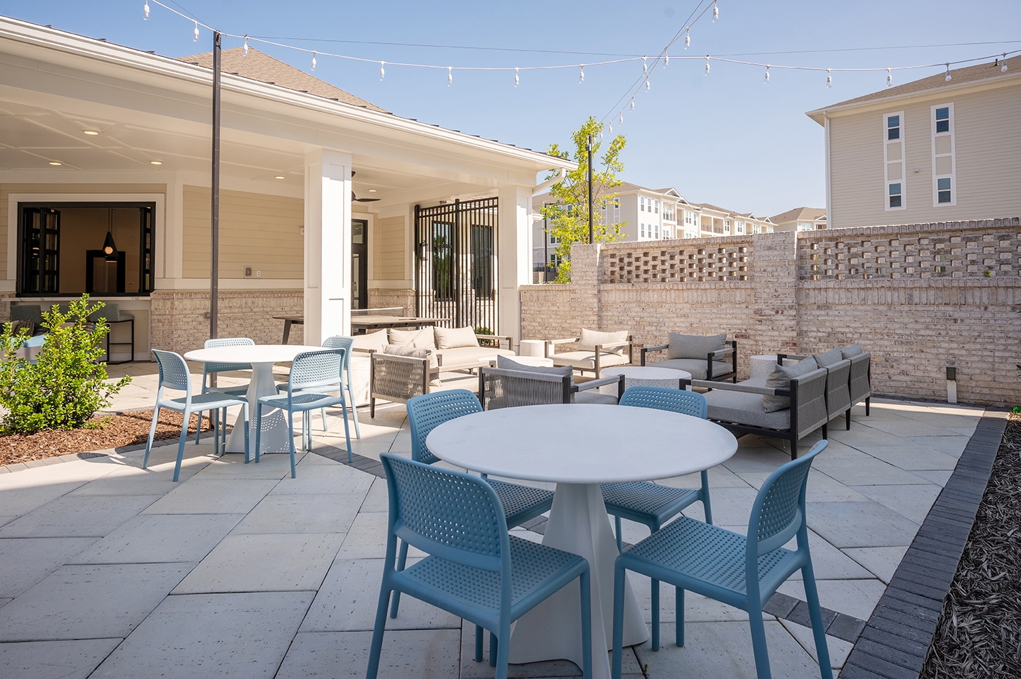 Cortland Wren Northlake photo