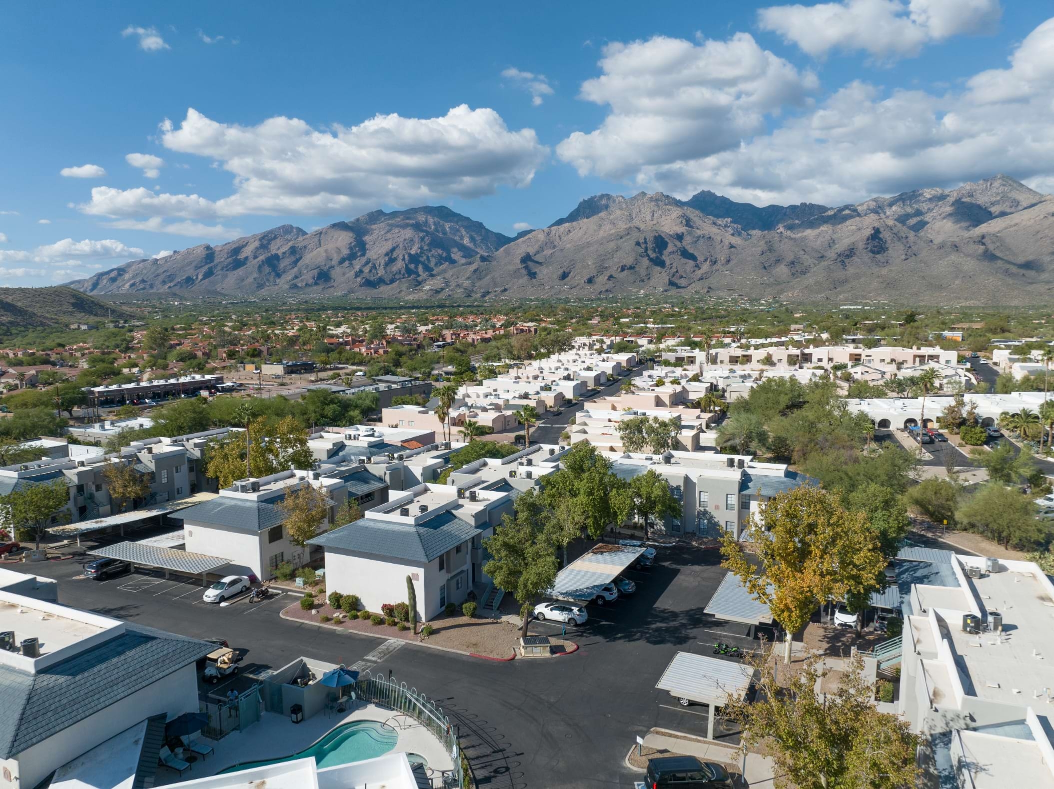 Cortland Sabino Canyon photo