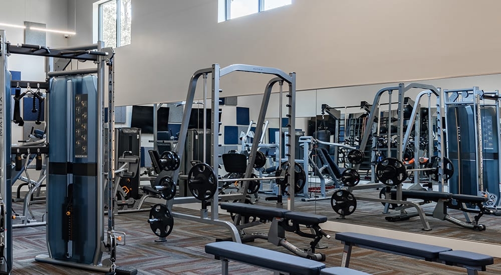 Cortland Lake Lotus photo