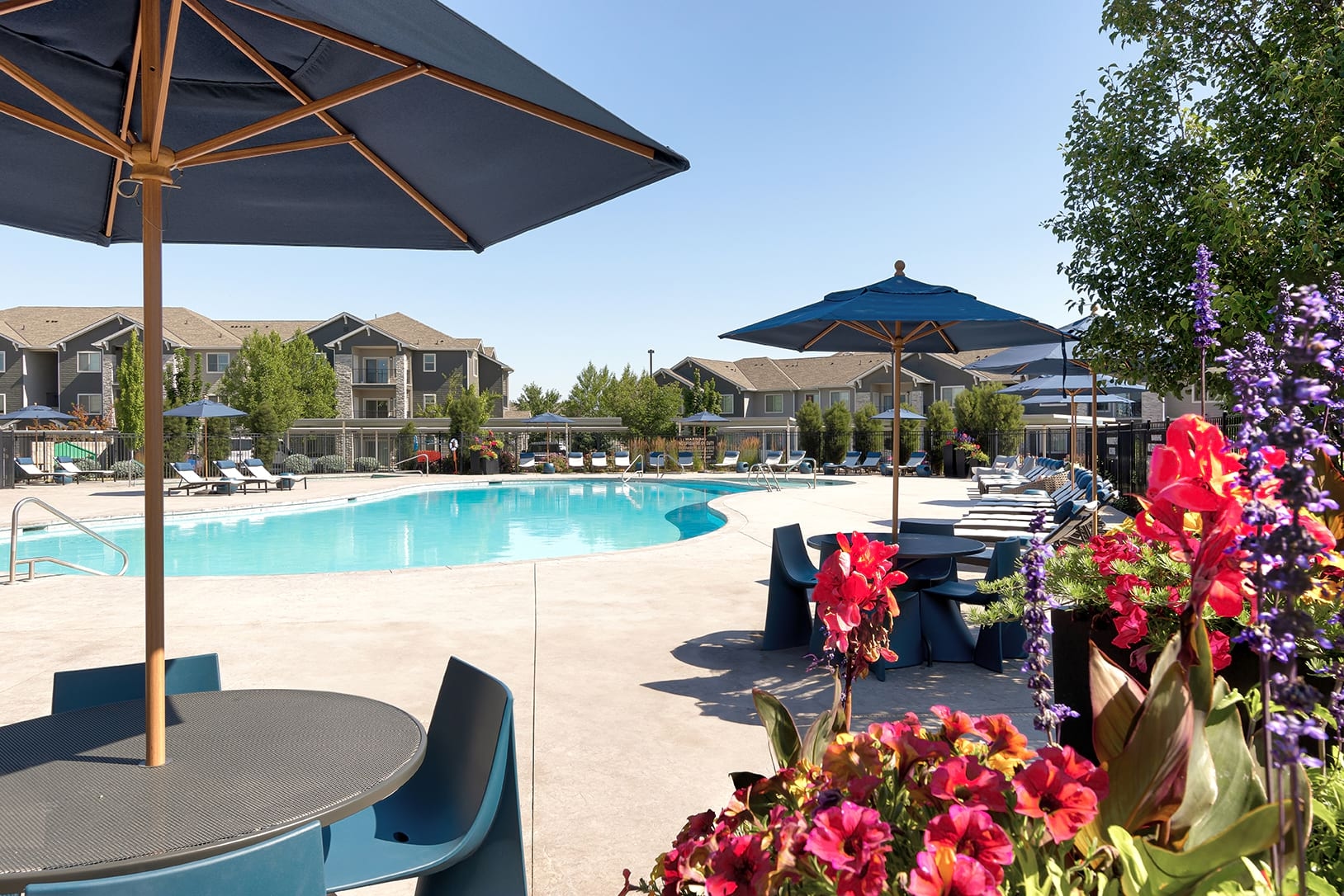 Cortland at Ten Mile photo