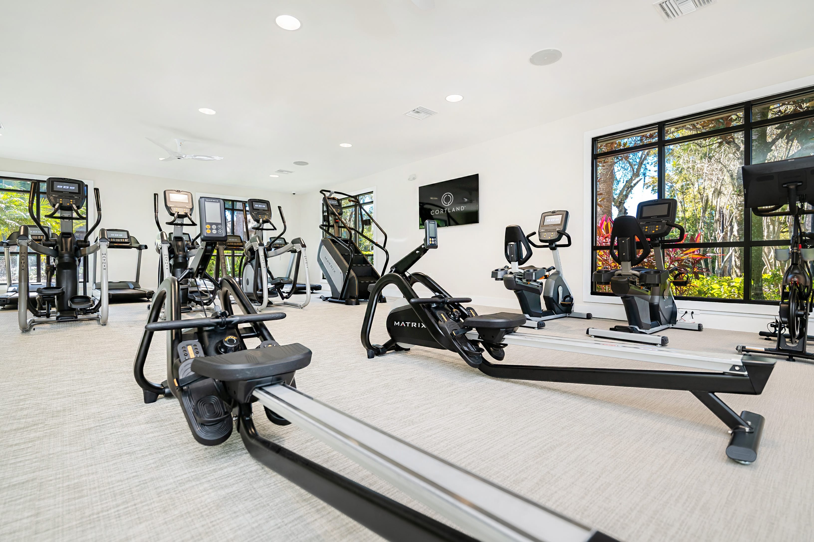 Cortland Mirror Lake photo