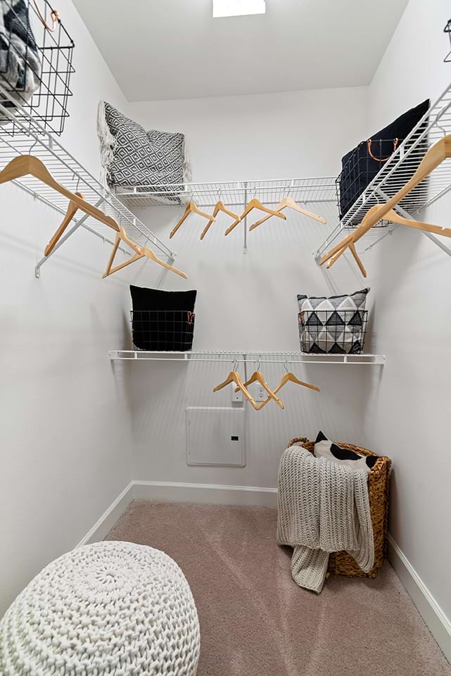 Cortland Legacy photo