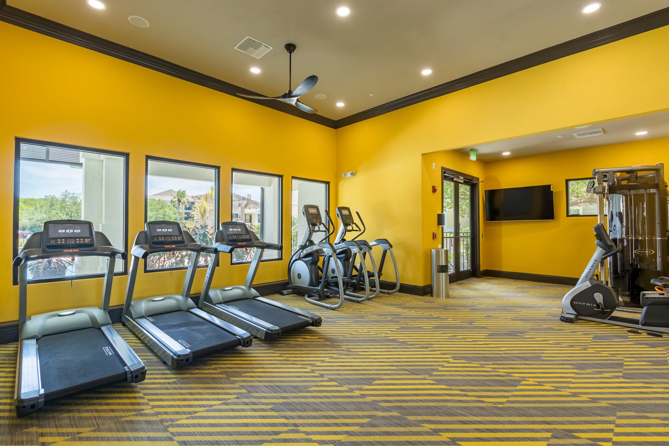 Cortland Brighton Bay photo