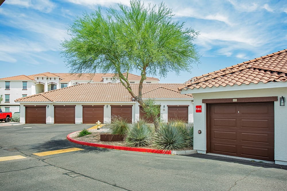 Cortland Mountain Vista photo