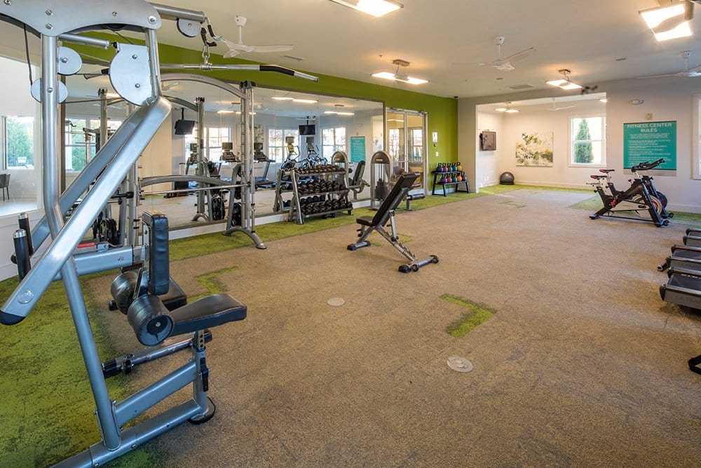 Cortland University City photo