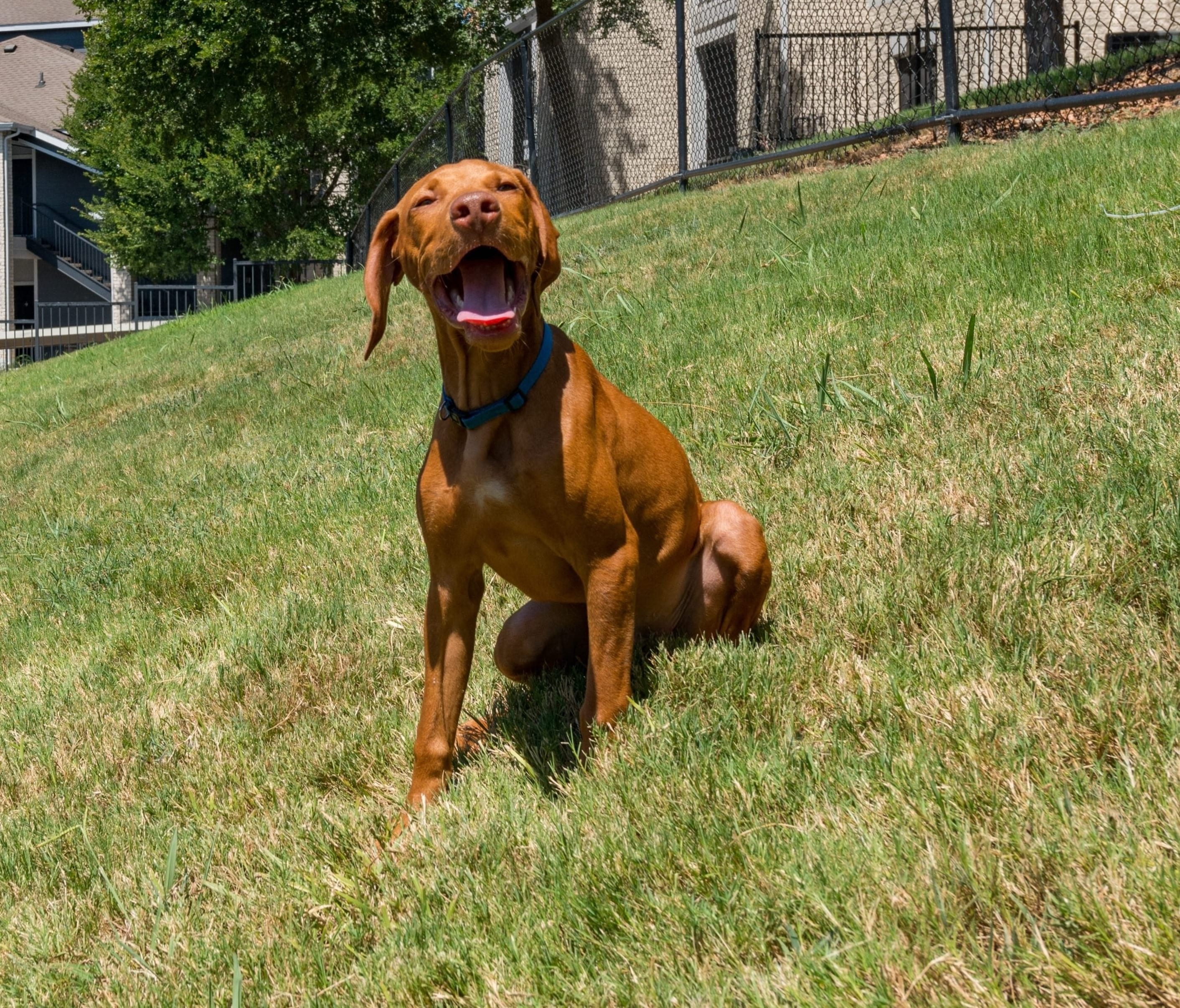 Cortland Gateway Park photo
