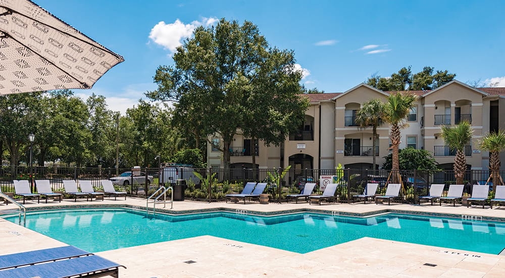 Cortland Lake Lotus photo