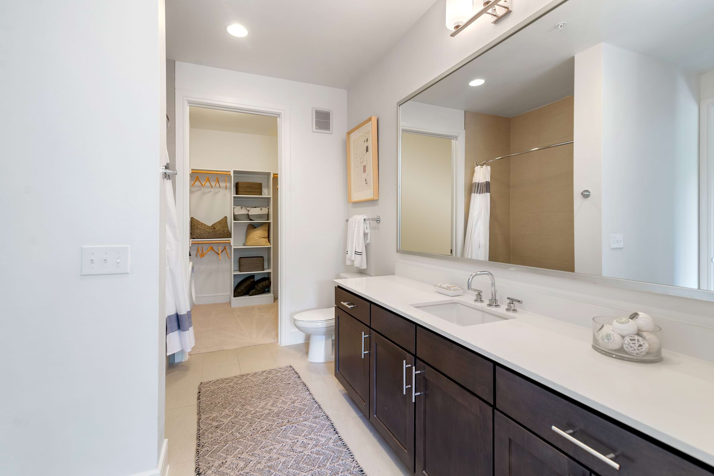 Cortland M-Line photo