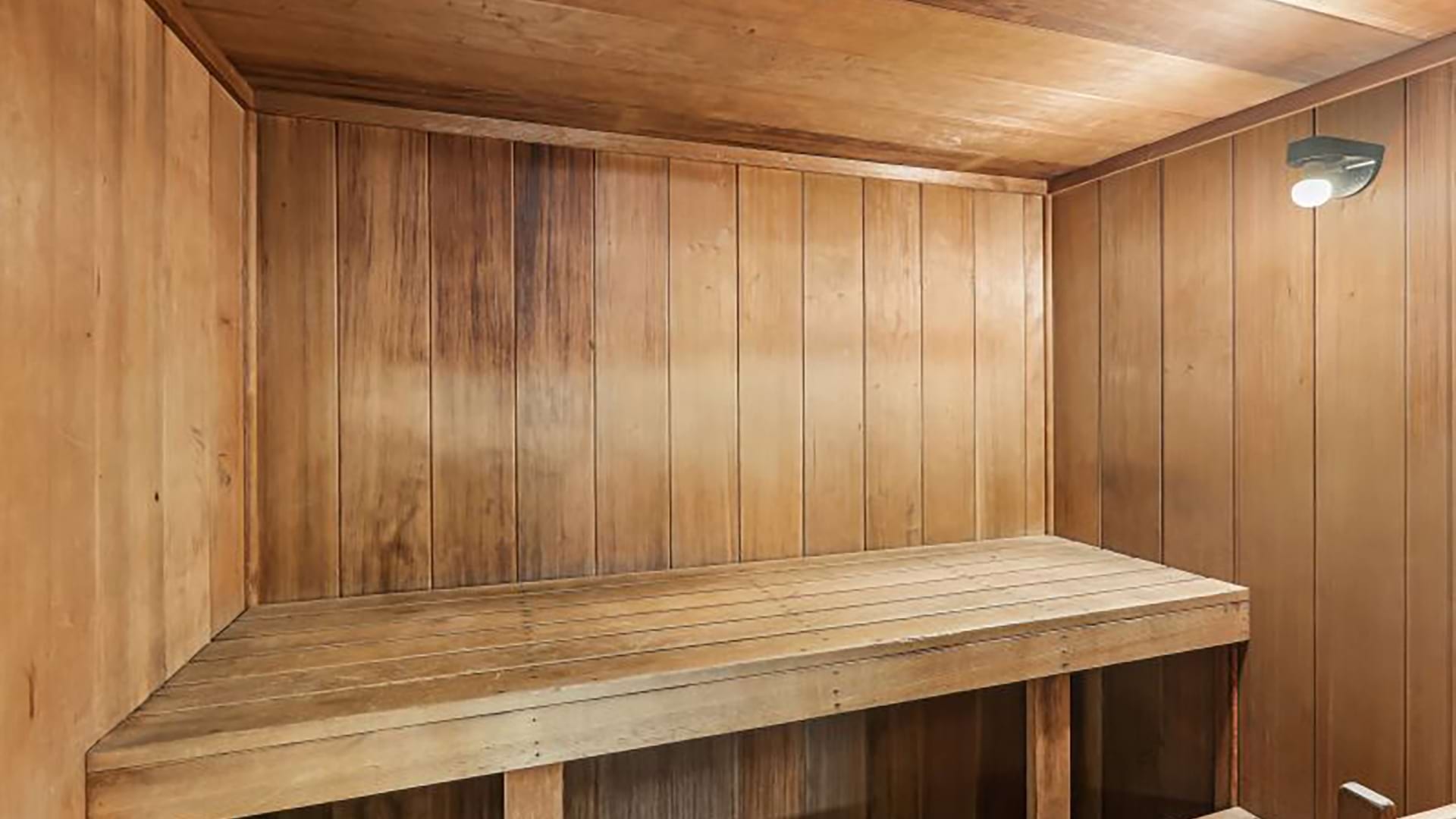 Cortland Manassas photo