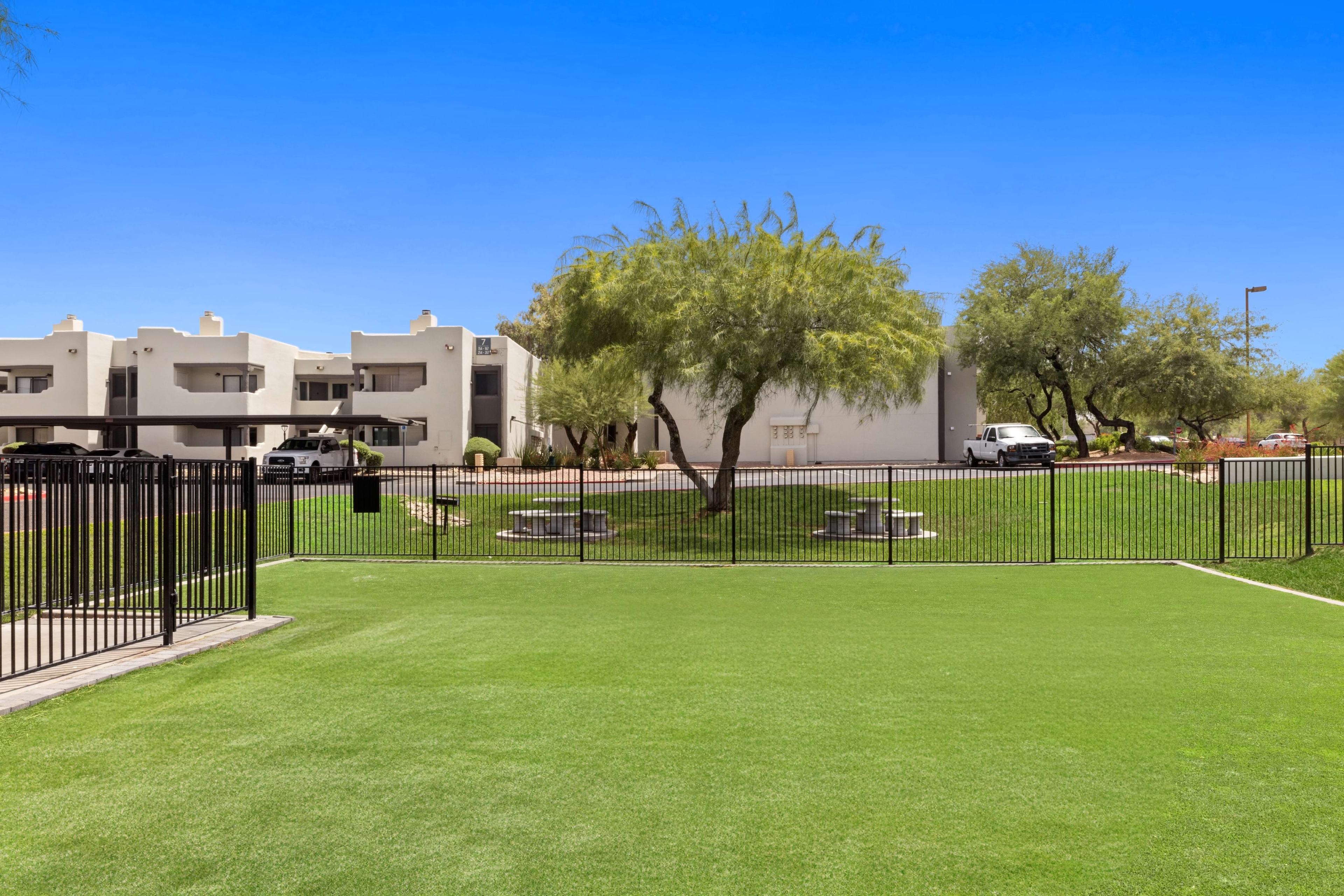 Cortland Scottsdale Mountain photo