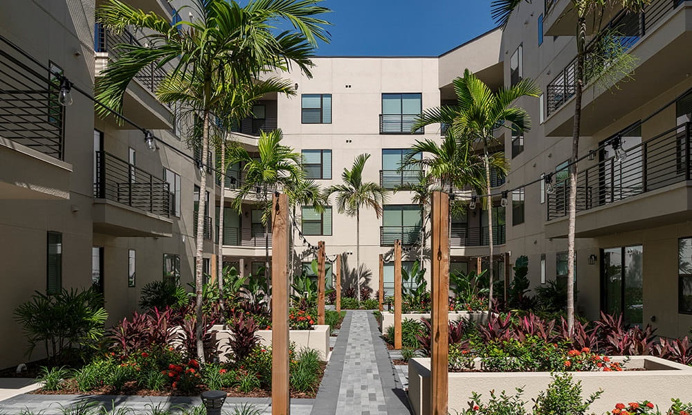 Cortland on Orange photo