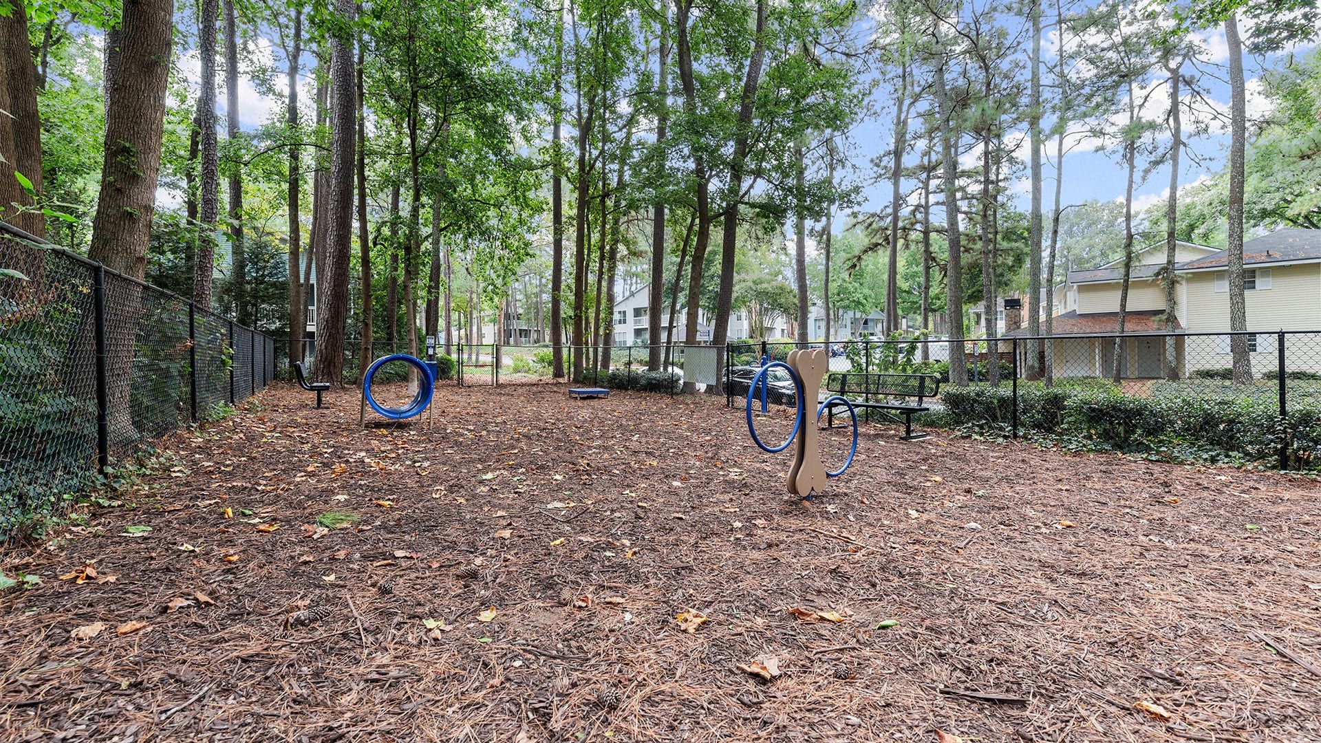 Cortland Woodlands photo