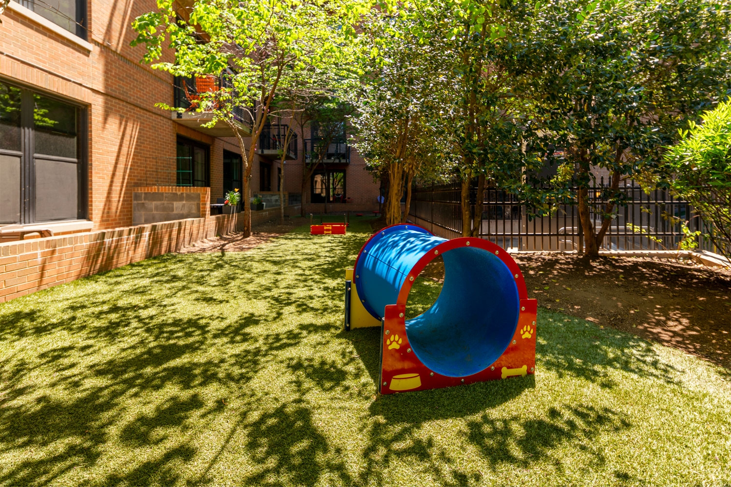 Cortland Mount Vernon photo