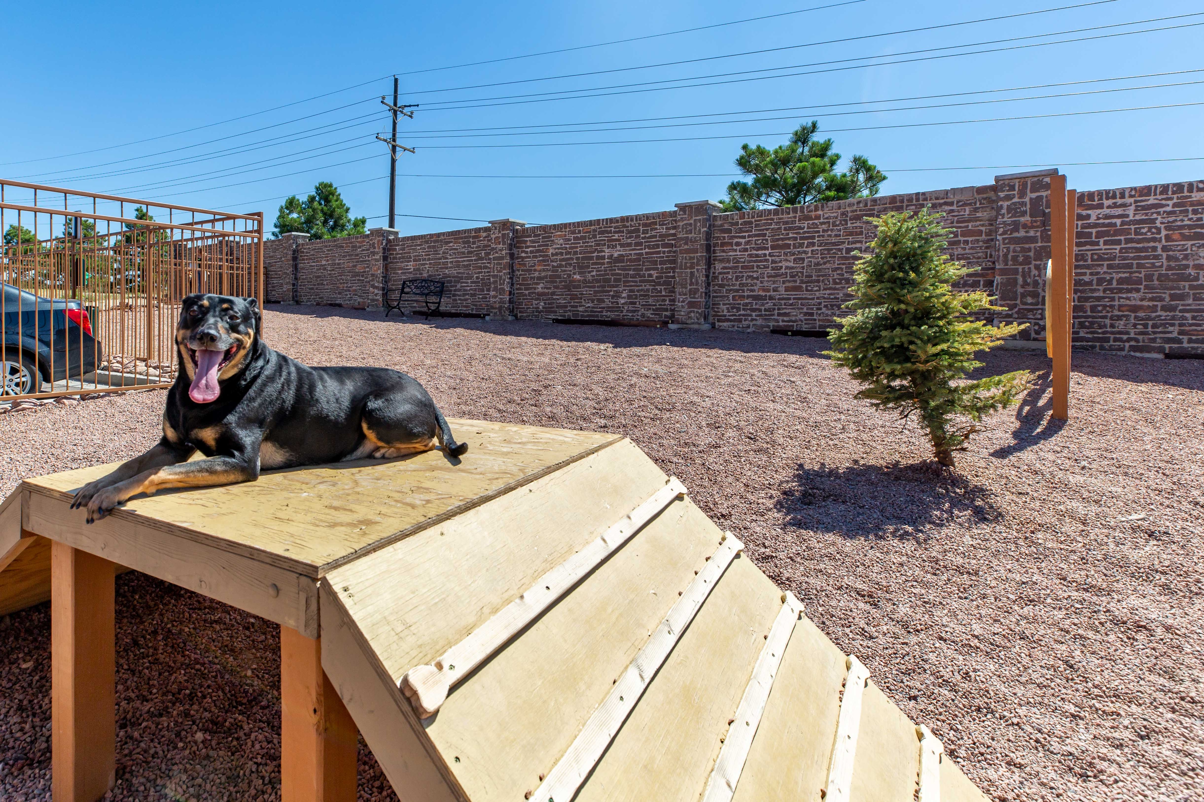 Cortland Powers North photo