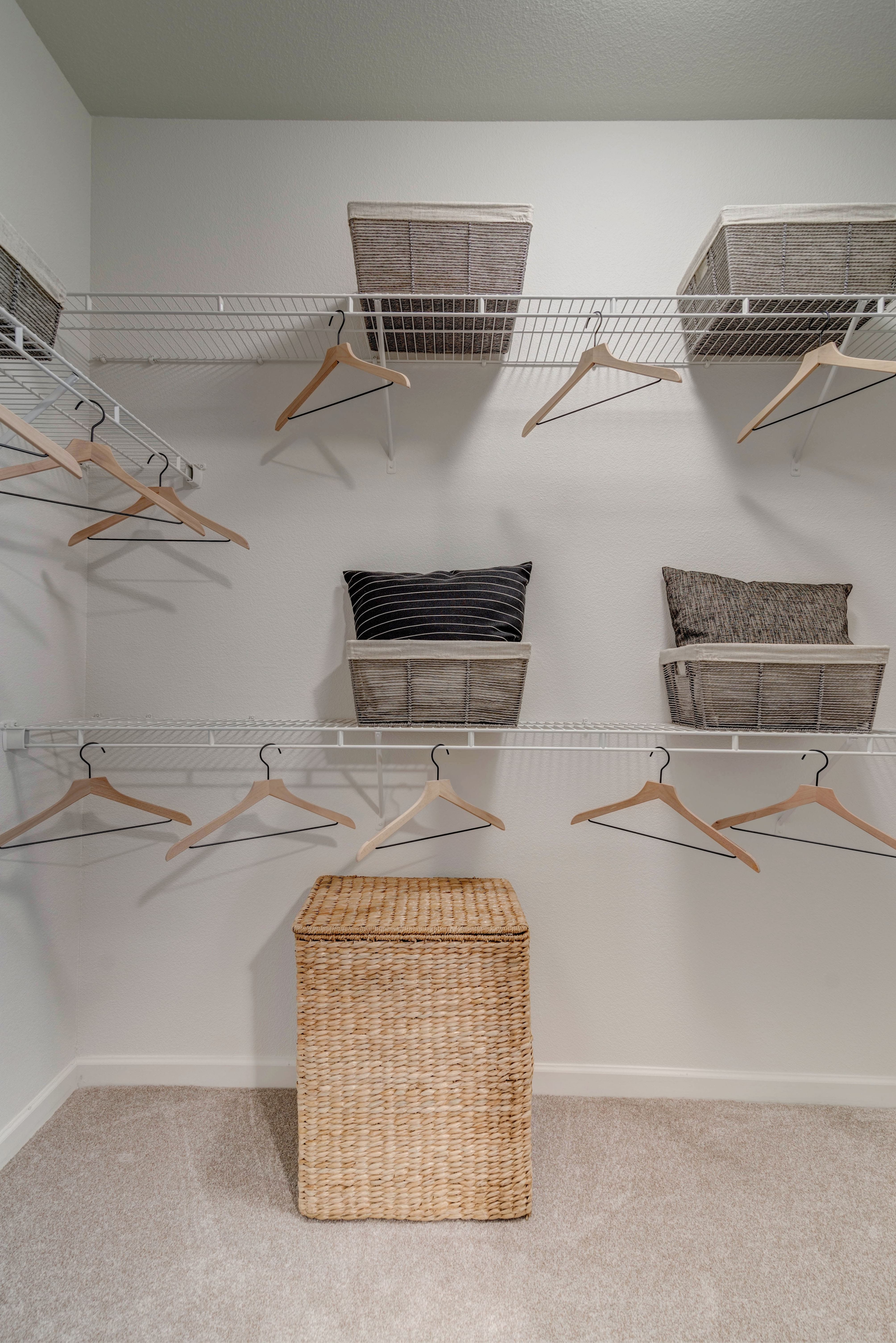 Cortland Southpark Terraces photo